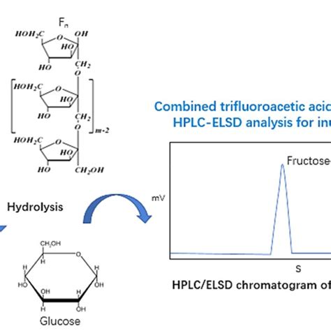 Pdf Development Of A Combined Trifluoroacetic Acid Hydrolysis And Hplc Elsd Method To Identify