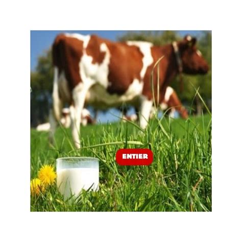 LAIT VACHE ENTIER STERILISE UHT BOUTEILLE 1L Bouteille Lait Okgo Net