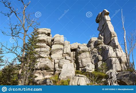 Formaciones De Rocas De Oveja En El Parque Nacional De Karkonosze Foto