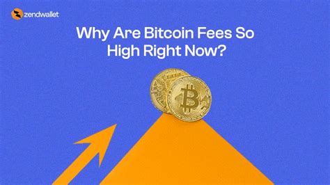 Why Are Bitcoin Fees So High Right Now