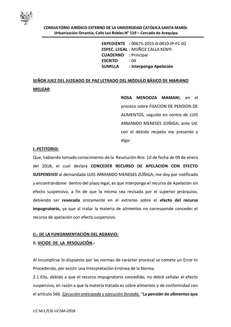 Apelacion De Resolucion Sin Efecto Suspensivo Consultorio JurÍdico