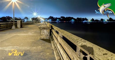 8 Best Fishing Piers In Georgia Captain Dixon