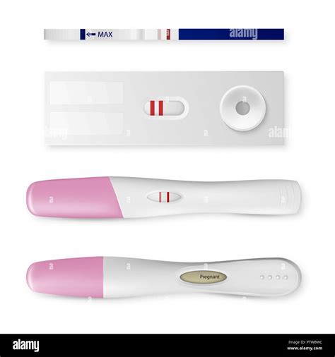 Vectores E Ilustraciones De Prueba Embarazo Para Descargar Gratis