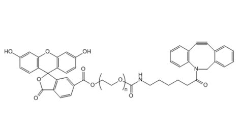 Fitc Peg2000 Dbco 荧光素 聚乙二醇 二苯并环辛炔 Chemicalbook