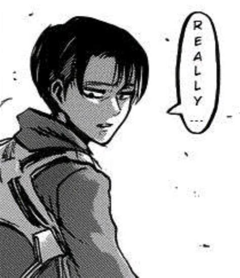 Levi Ackerman | Shingeki no Kyojin | Shingeki no kyojin manga, Snk ...