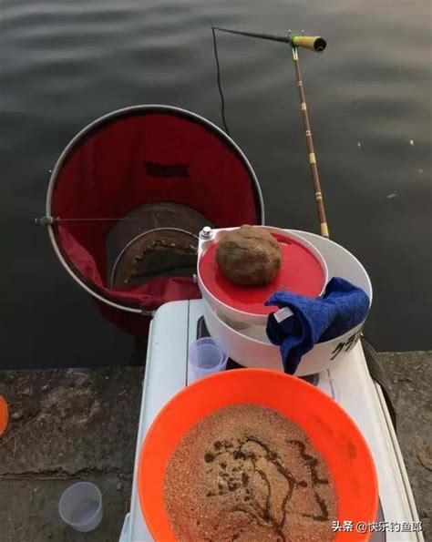 這才是正確開制餌料的姿勢，就只要5步，很多釣魚人原來都沒做對 每日頭條