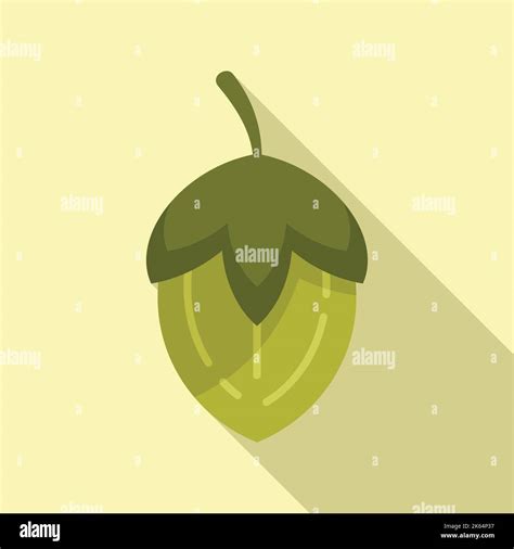 Jojoba Plant Stock Vector Images Alamy