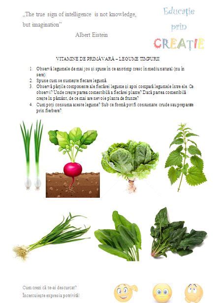 Vitamine De Prim Var Legume Timpurii Grupa Mare