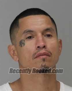 Recent Booking Mugshot For JONATHAN SAUCEDO In Dallas County Texas