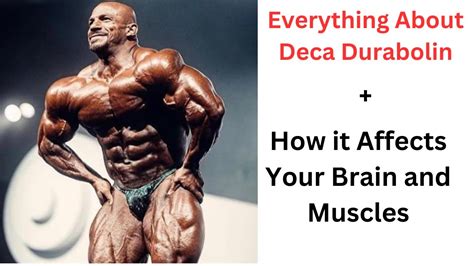 Everything About Deca Durabolin How It Affects Your Brain And Muscles