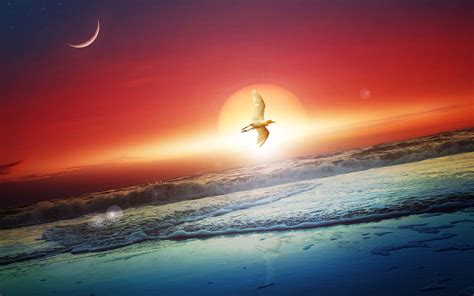 Sun and Moon Wallpapers - Top Free Sun and Moon Backgrounds - WallpaperAccess