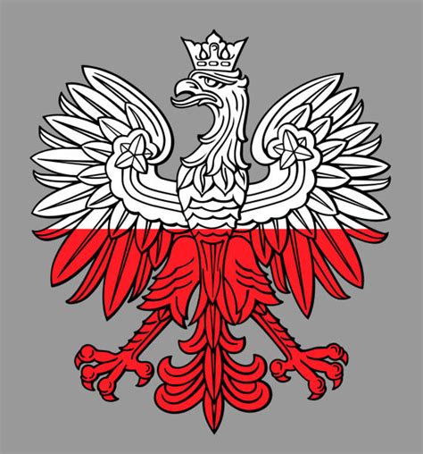 10 Poland Eagle Silhouettes Stock Illustrations Royalty Free Vector