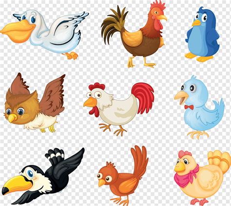 Coleção De Pássaros Png Pngwing