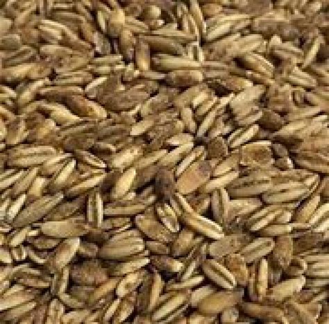 Golden Naked Oats British Simpson Lancaster Homebrew