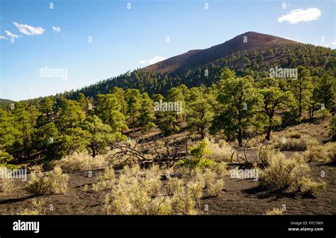 sunset crater national monument stock photo alamy