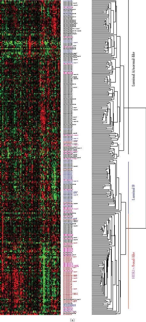 Figure 2 From The Functional Crosstalk Between HER2 Tyrosine Kinase And