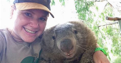 Bright idea helps Tonka the clinically depressed wombat find his smile ...