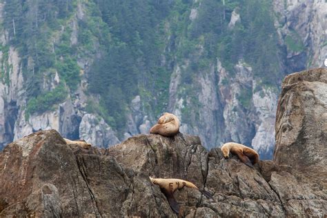 Where To Go Kayaking In Seward Alaska Celebrity Cruises