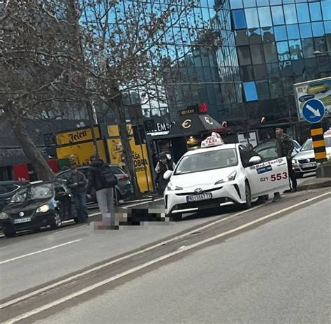 Oboren Pe Ak Na Bulevaru Mihajla Pupina Foto Vojvodina U Ivo Vesti