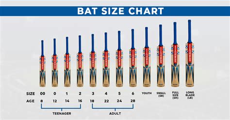 Different Cricket Bat Sizes, Which One is Right For You? » Yashi Sports Inc