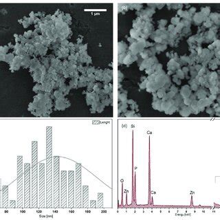 The Sem Images A B Particle Size Distribution C As Well As Eds