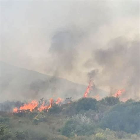 Incendio A Stromboli Fiamme Alimentate Dal Vento Gi Distrutti Ettari