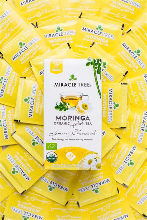 Miracle Tree Organic Moringa Superfood Tea Pack Bundle X