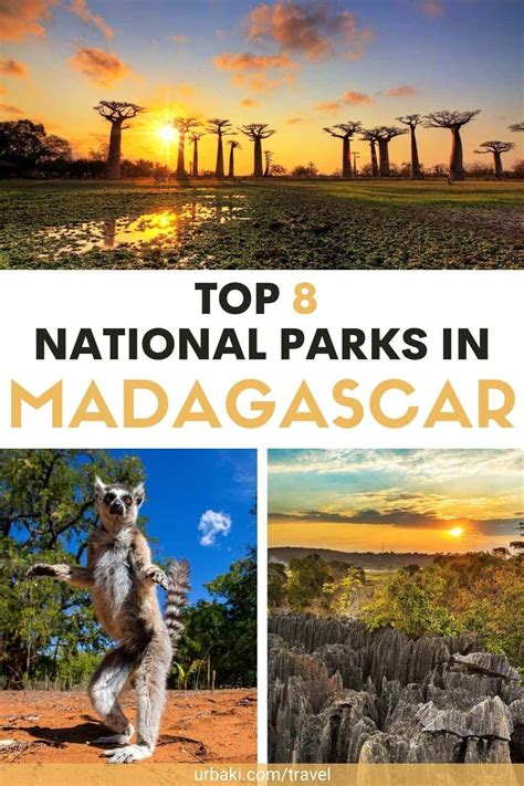 Top 8 National Parks in Madagascar | Africa travel, National parks ...