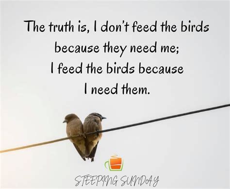 I Feed the Birds Because I Need Them | Steeping Wellness