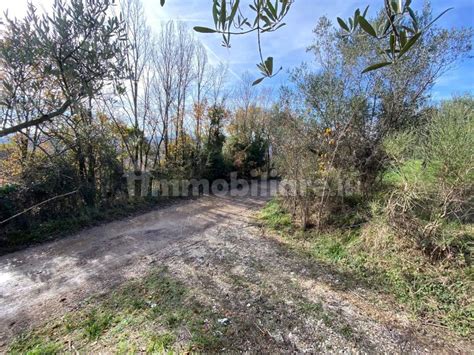 Terreno Agricolo Via Intercomunale Di Valenza Castel San Pietro