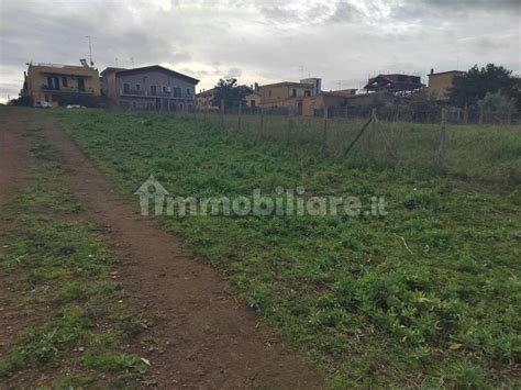 Terreno Agricolo Via Sant Angelo Cerveteri Rif