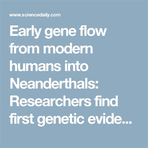 Early Gene Flow From Modern Humans Into Neanderthals Researchers Find