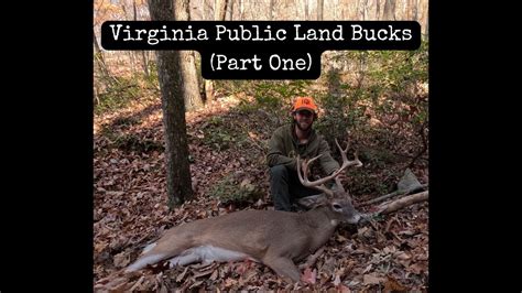 Virginia Public Land Bucks Part One YouTube