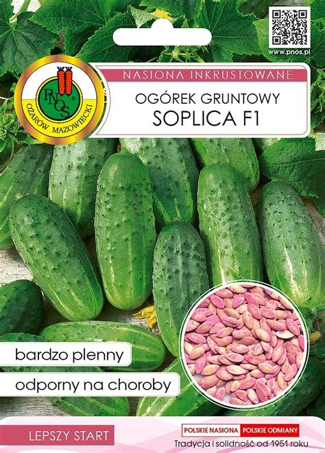 Og Rek Soplica F Gruntowy G Nasiona Inkrustowane Og Rek Gruntowy