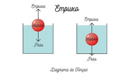 Projetos de Física Experimental UFLA DETERMINAÇÃO DA FORÇA DE EMPUXO