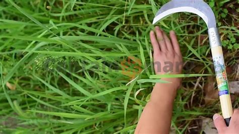 Gardening Tools Multi Purpose Folding Garden Sickle Heavy Duty Grass