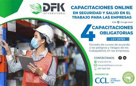 Capacitaciones En Seguridad Y Salud En El Trabajo Dfk Perú