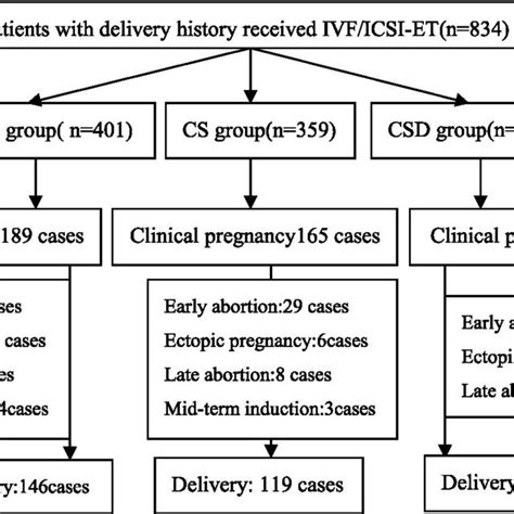 Flowchart Of Reproductive Outcomes After Ivficsi Et Download Scientific Diagram