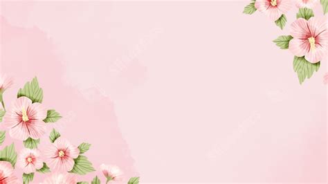 Pink Water Watercolor Nature Cute Hibiscus Flowers Powerpoint Background For Free Download