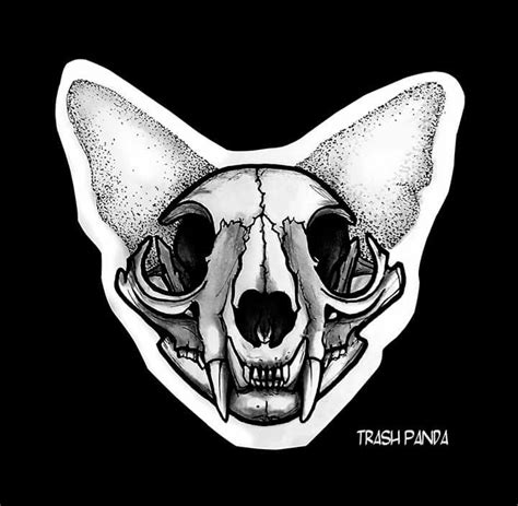 Cat's skull | Cat skull tattoo, Skulls drawing, Cat skull