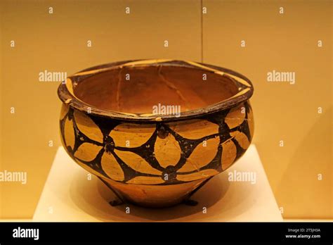 China Ancient Chinas Exhibition Hall Painted Pottery Basin