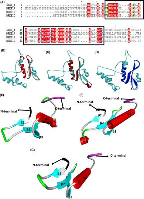 A Multiple Sequence Alignment Of Protein Sequence Of Chain A Of 5wx9 Download Scientific