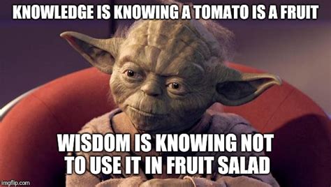 Yoda Wisdom Imgflip