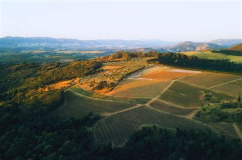 Explorando O Terroir Das Terras Altas De Esp Rito Santo Do Pinhal