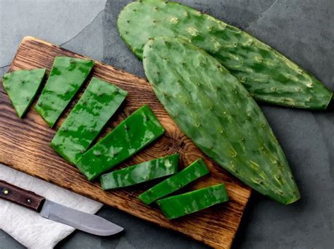 How To Cook Cactus Guide With Pictures Succulents Network