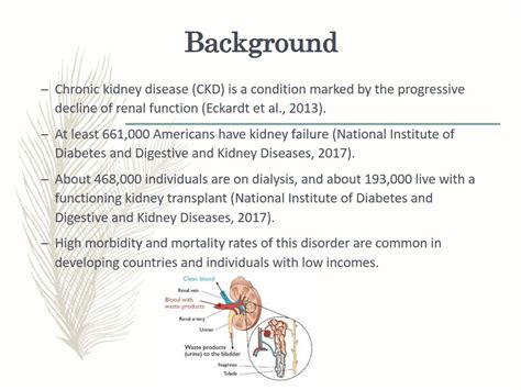 Chronic Kidney Disease: Prevention and Treatment - 1772 Words ...