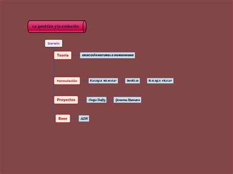 La Gen Tica Y La Evoluci N Mind Map