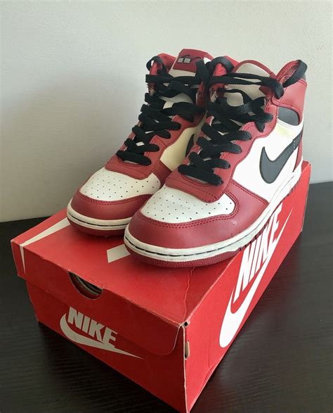 Nike Dunk Spike Lee Ubicaciondepersonas Cdmx Gob Mx