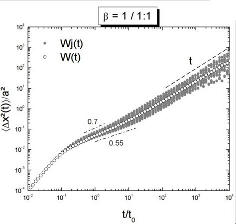 Mean Square Displacement Of The System White Circle W T And