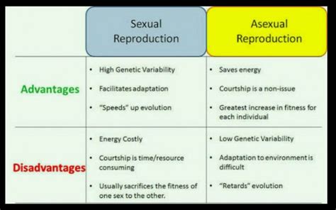 Q 1 What Are The Advantages And Disadvantages Of Sexual And Asexual